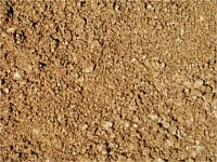 Sands and Soils